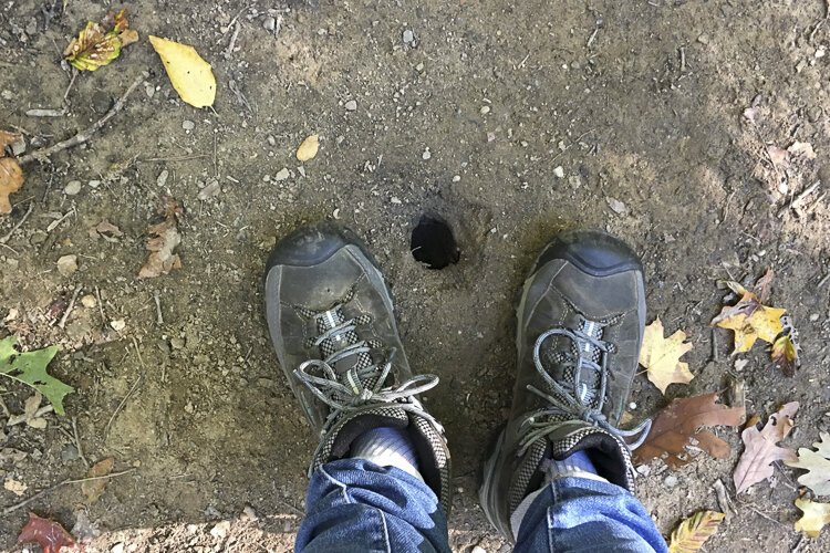 At least whatever lives down there isn't too big--unless it's a (gulp) peephole