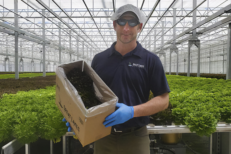 Great Lakes Growers, a premium producer of herbs and lettuce.