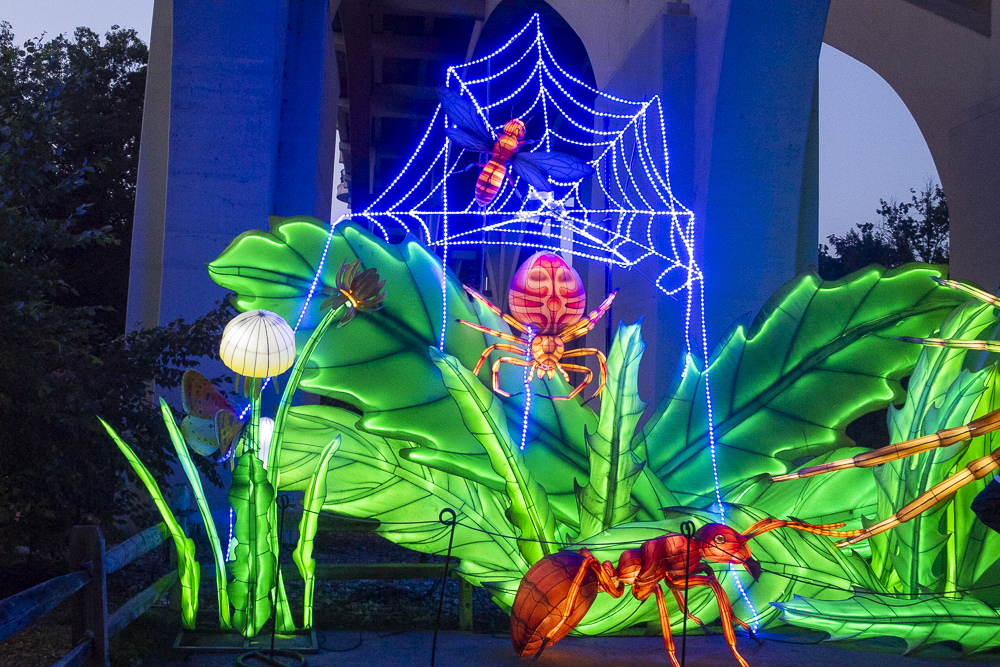 Asian Lantern Festival 2023