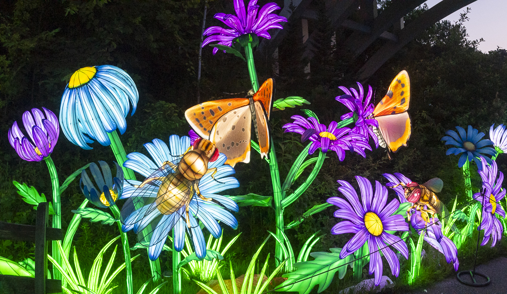 Asian Lantern Festival 2023