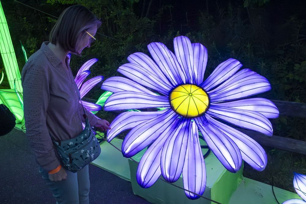 Asian Lantern Festival 2023