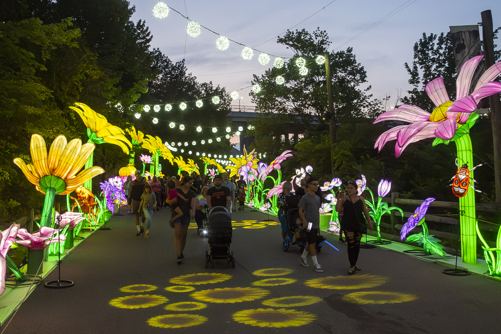 Asian Lantern Festival 2023