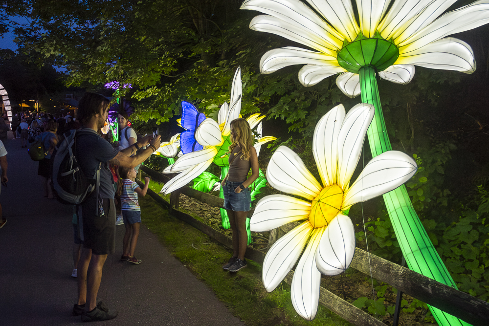 Asian Lantern Festival 2023