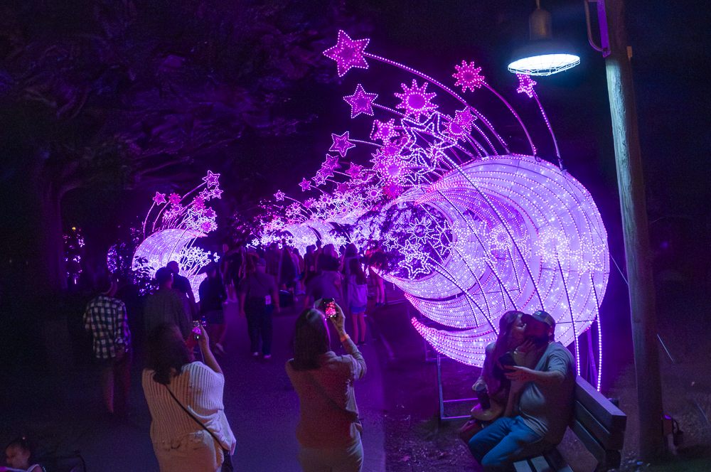 Asian Lantern Festival 2023