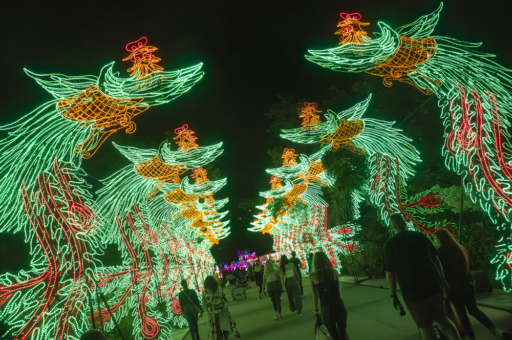 Asian Lantern Festival 2023