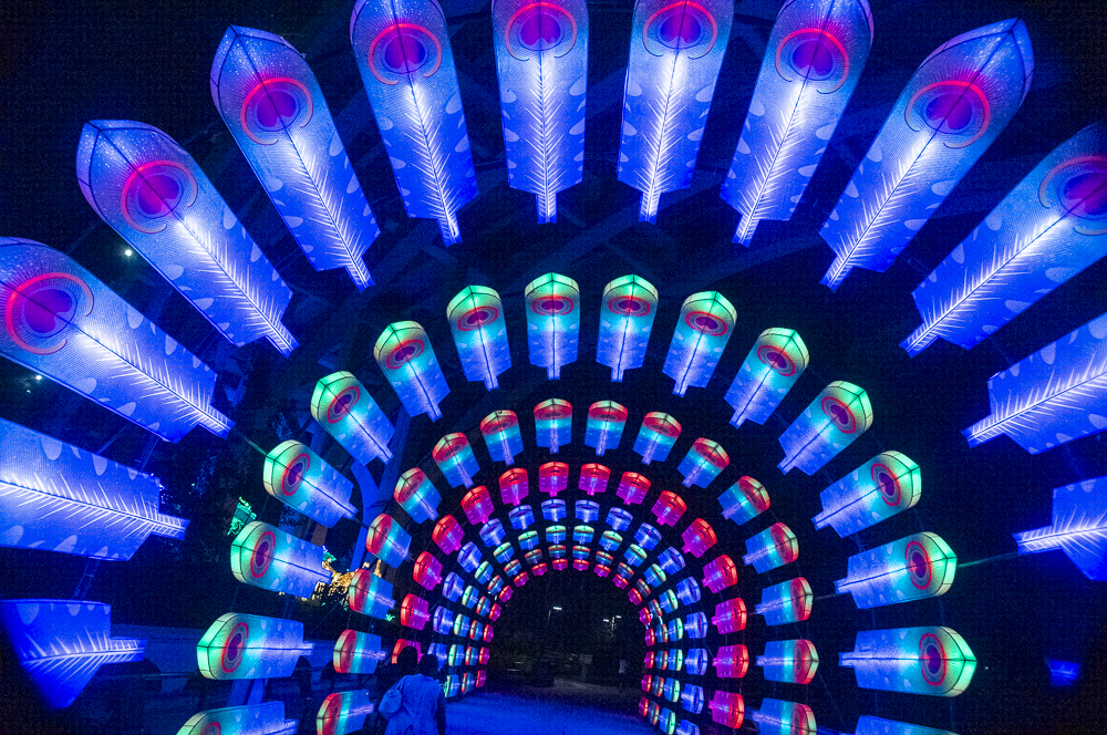 Asian Lantern Festival 2023