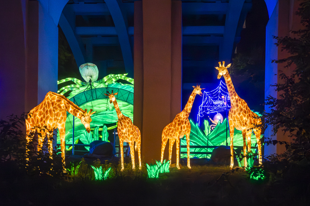 Asian Lantern Festival 2023