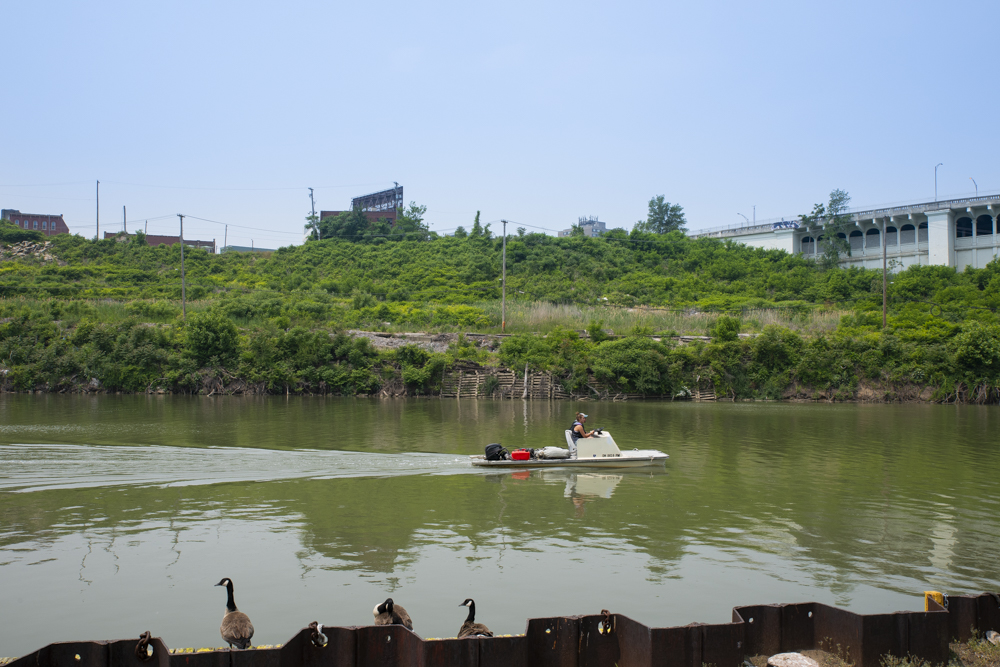 - Photo © Bob Perkoski, www.Perkoski.com