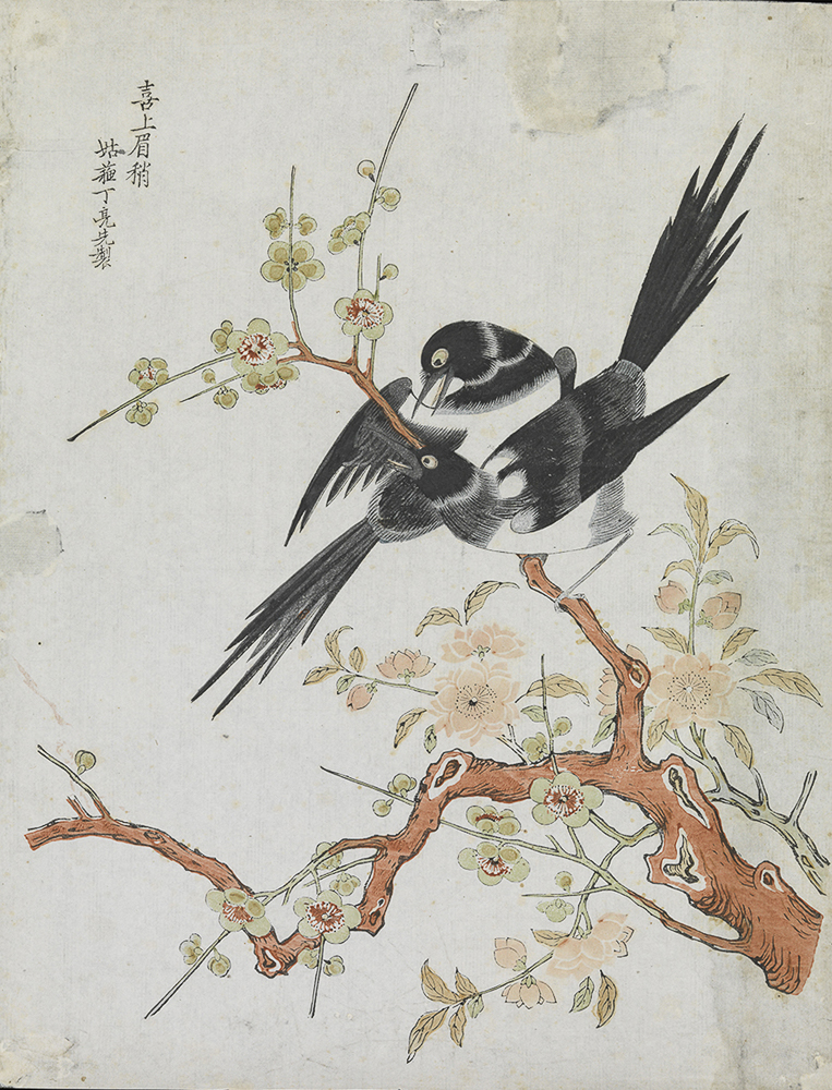 Magpies, about 1735–50