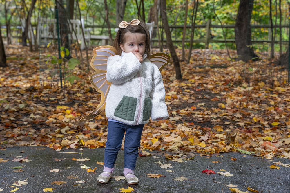 AutumnFest at the Nature Center at Shaker Lakes