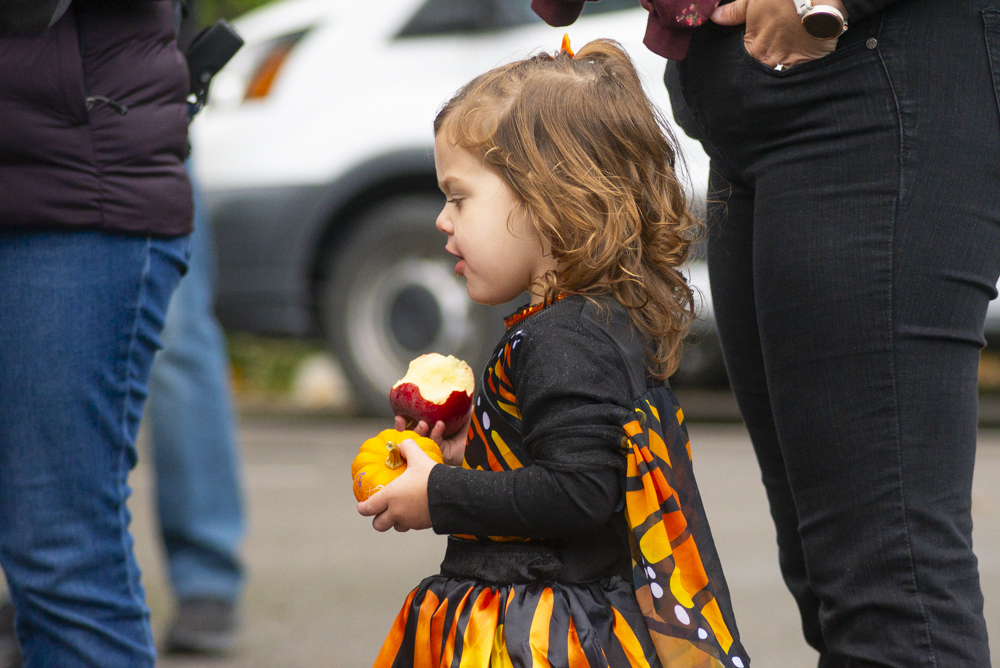 AutumnFest at the Nature Center at Shaker Lakes