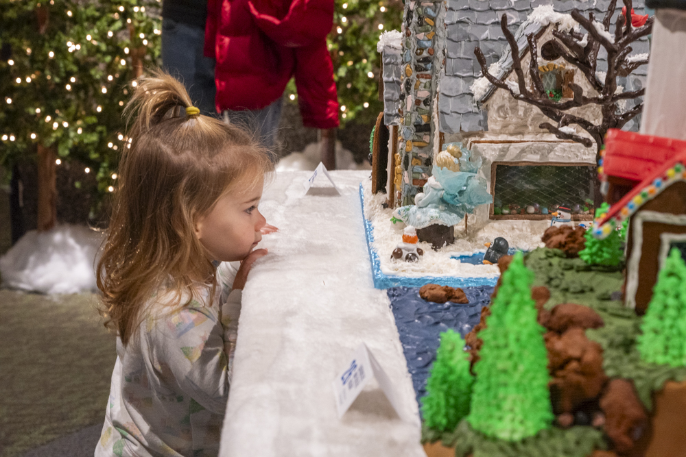 Frost – Cleveland Botanical Garden