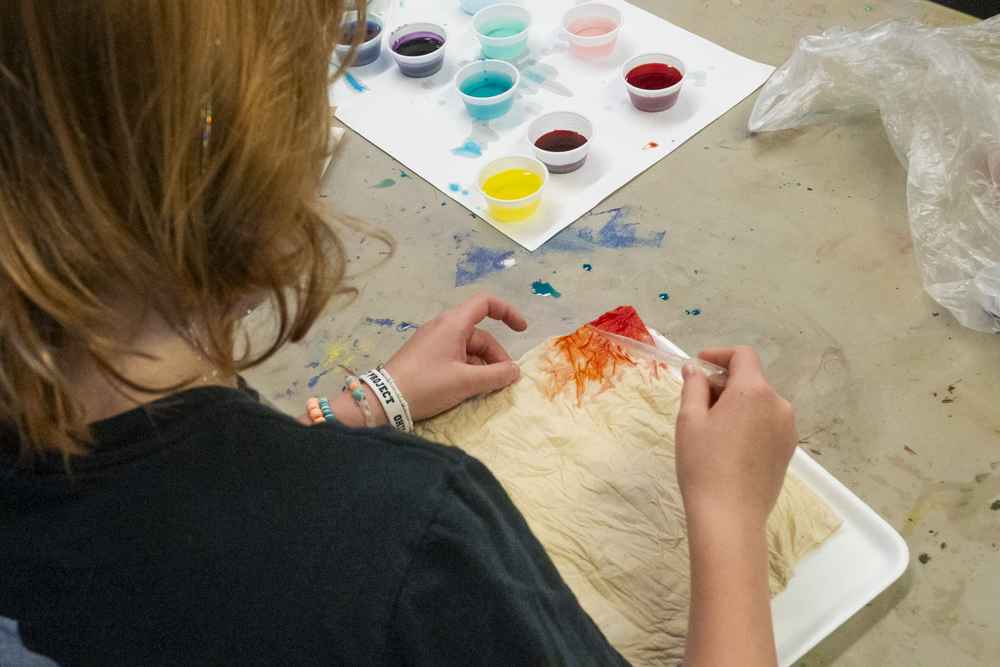 Art House - Conservation Celebration Summer Camp