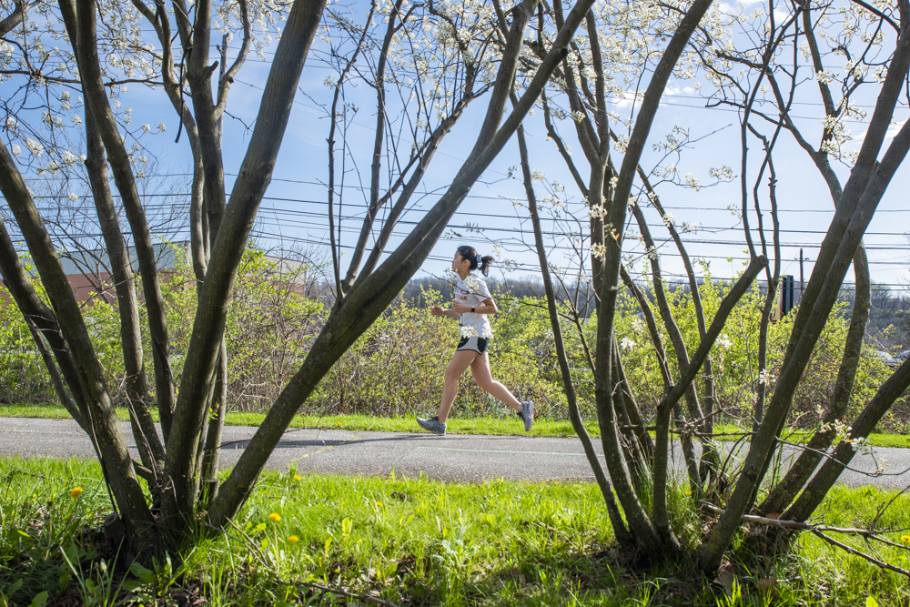 Canalway Towpath Half Marathon 2024