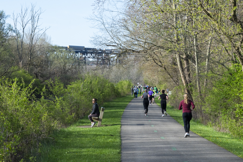 Canalway Towpath Half Marathon 2024