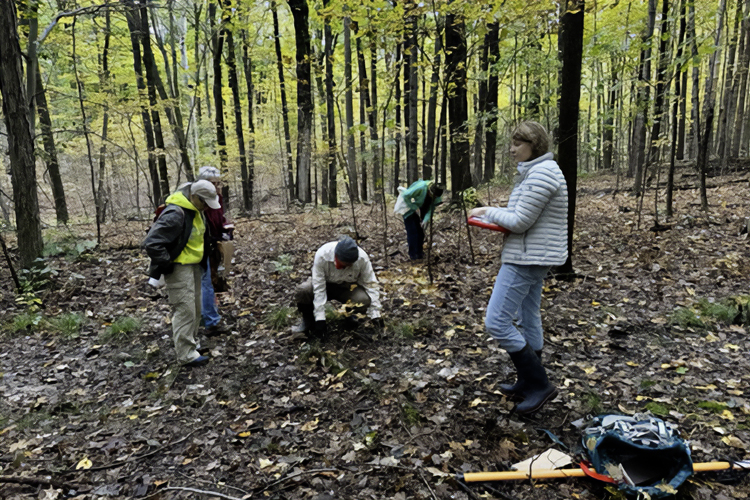 Kim Lessman leading a team of volunteers collecting seeds