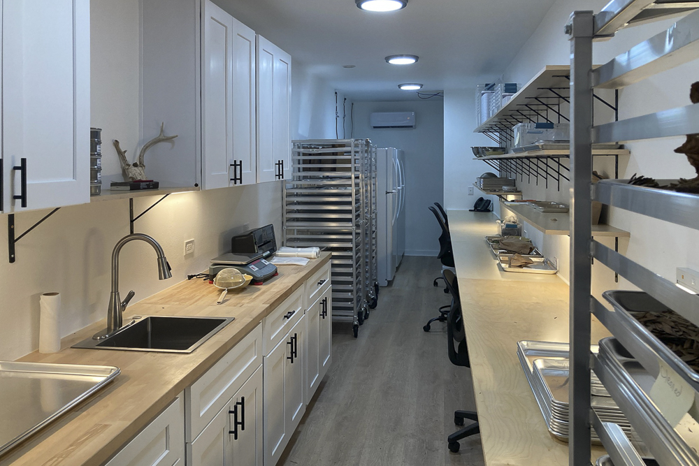 Inside the seed bank facility