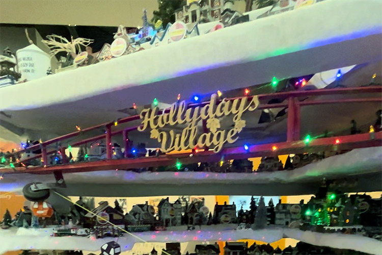 HollyDays