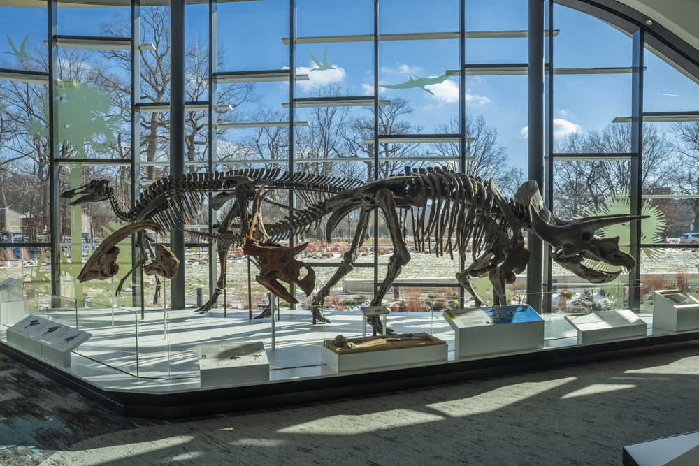 Larry Sears and Sally Zlotnick Sears Dynamic Earth Wing