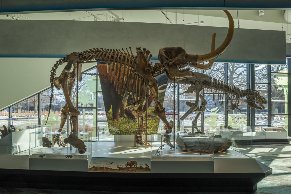 Larry Sears and Sally Zlotnick Sears Dynamic Earth Wing