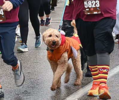 Anthony E.'s winning dog