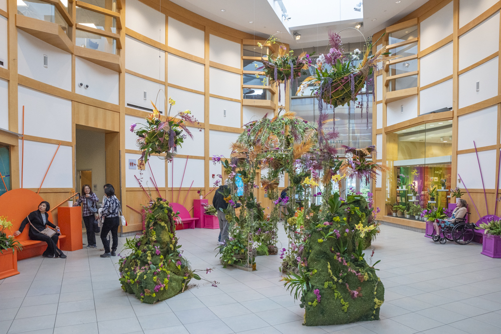 Orchids Forever - Golden Hour