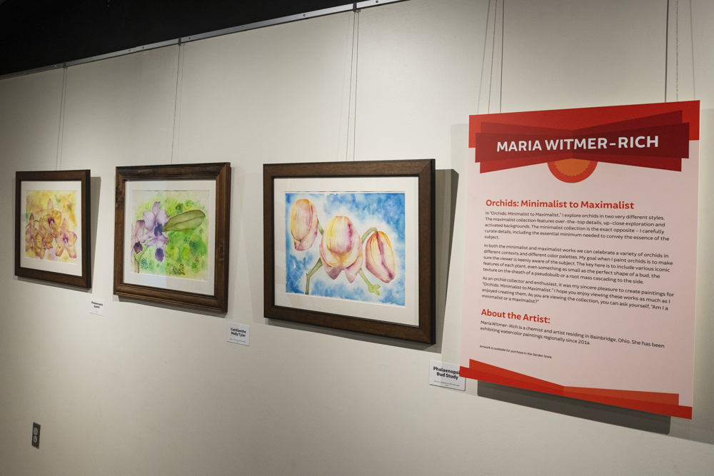 Orchids Forever - Golden Hour