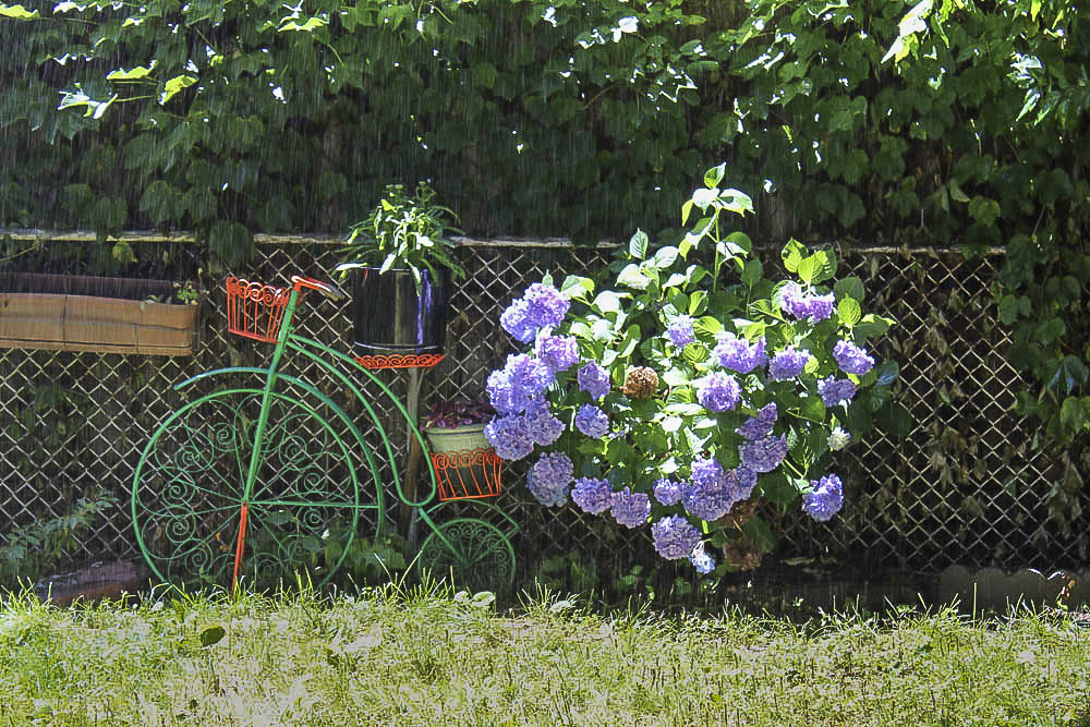 GardenWalk Glenville 2022