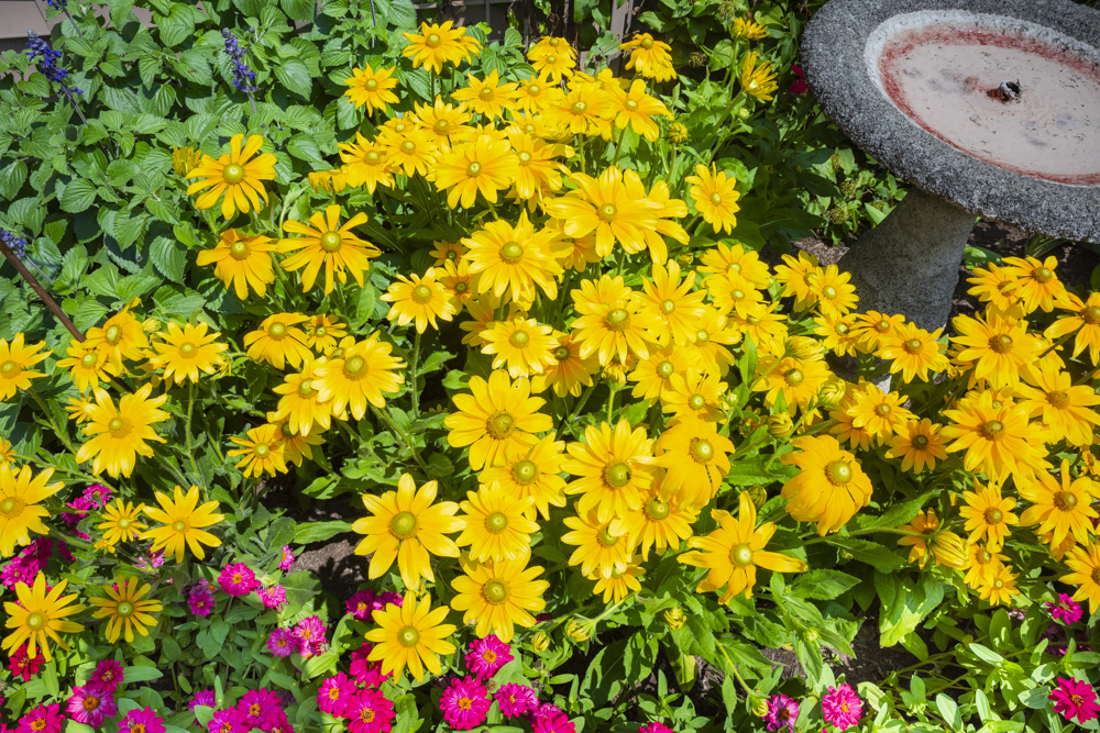 GardenWalk Cleveland - Old Brooklyn