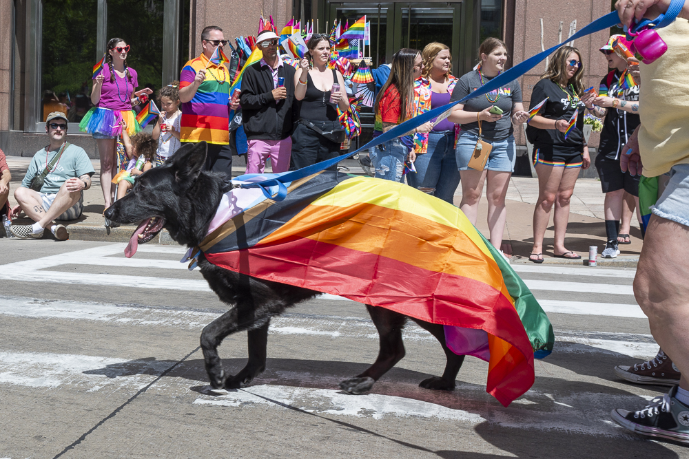 Pride in the CLE 2024