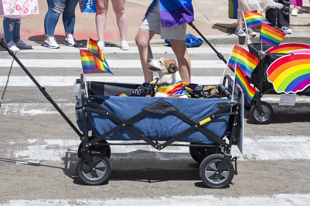 Pride in the CLE 2024