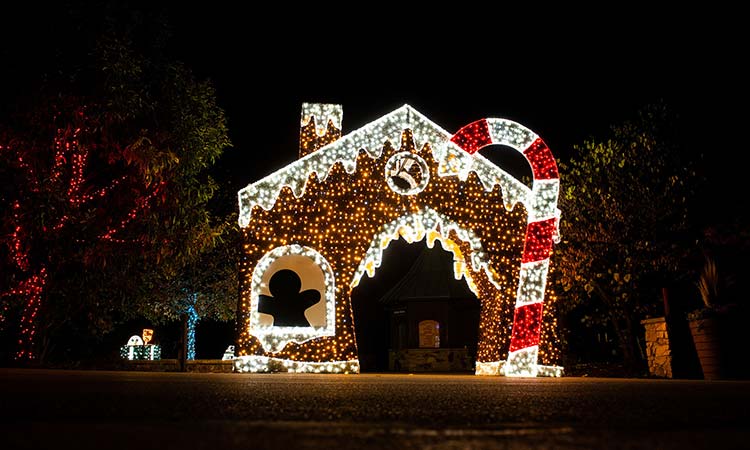 Wild Winter Lights at Metroparks Zoo