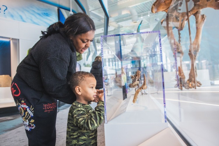 Sears Dynamic Earth Wing