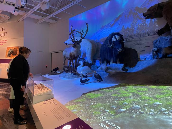 EPOCH attendees enjoy the exhibits at The Natural History Museum.