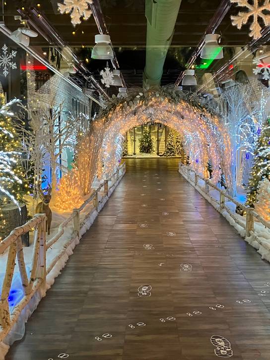 Bruce the Spruce Woods in Tower City