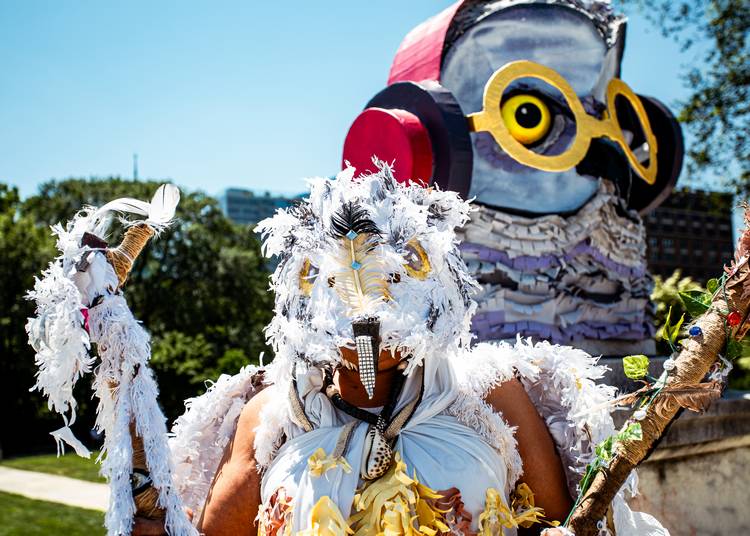 The snowy owl represents wisdom, intuition, and hidden knowledge in some Native American cultures.