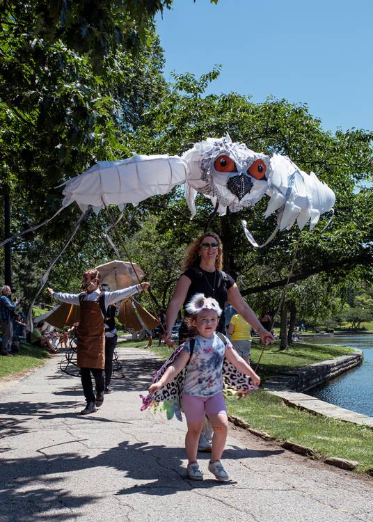 The snowy owl represents wisdom, intuition, and hidden knowledge in some Native American cultures.