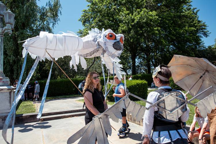 This year's Parade the Circle theme was Magical Allure: A Vibrant Celebration of the Snowy Owl.