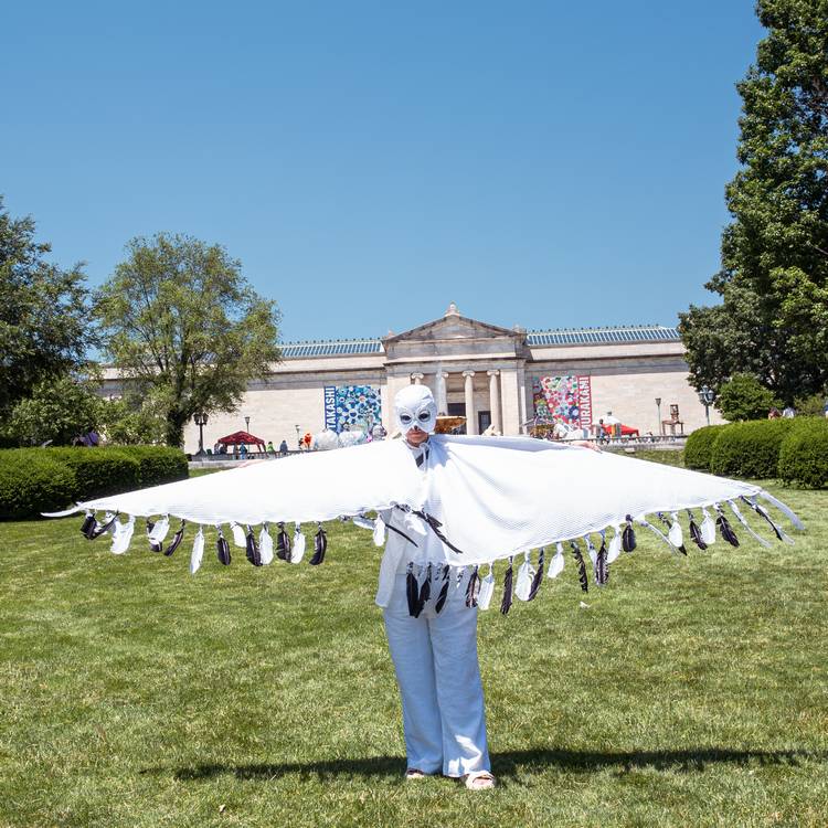 The snowy owl represents wisdom, intuition, and hidden knowledge in some Native American cultures.
