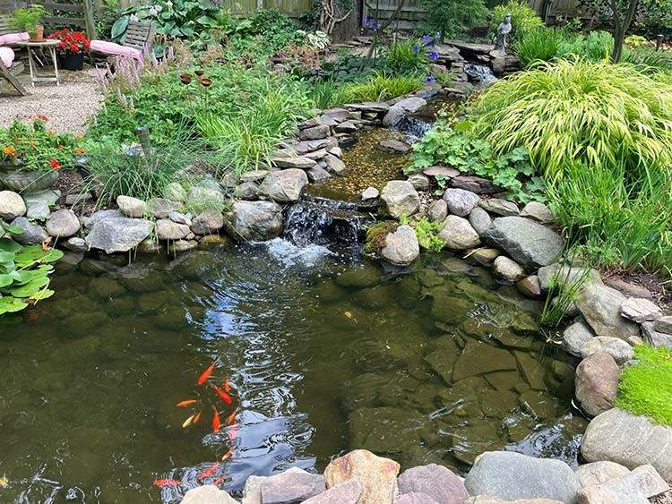 A koi pond on Cedar Road.