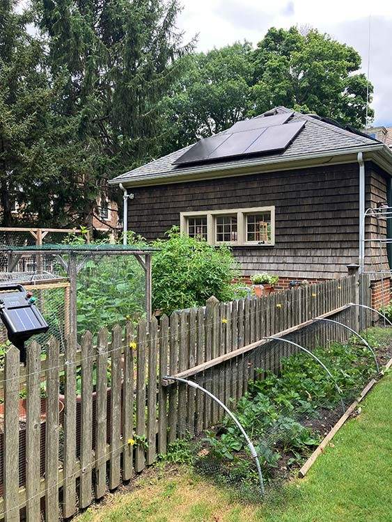 Gardens line a fence on Fairmount Boulevard.