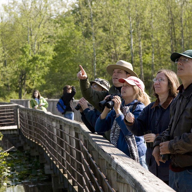 Birding at CVNP