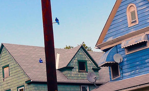 The hope is CHIF will help build and renovate affordable housing.