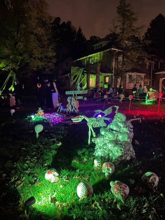 Horseshoe Lake graveyard.