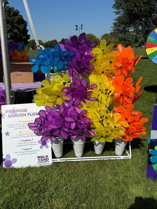 Symbolic colored flowers honors those affected by Alzheimer's disease.