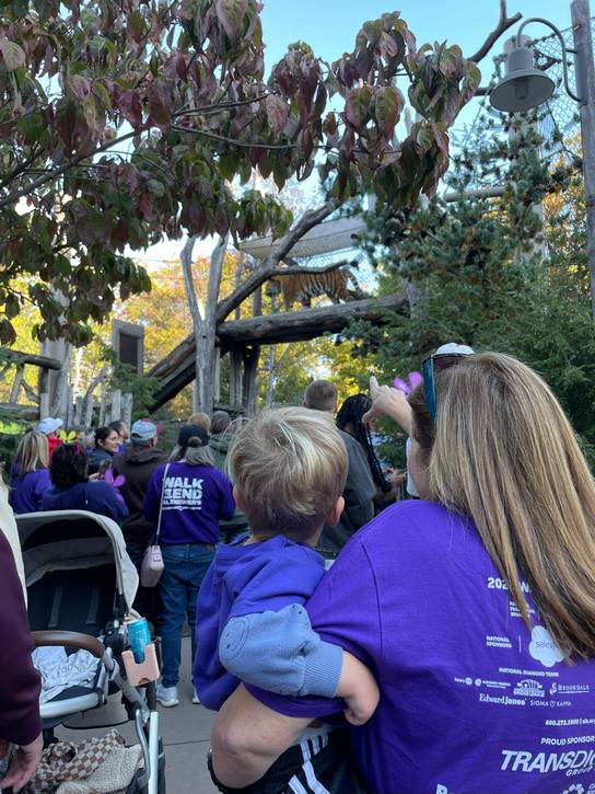 A tiger strolls over the heads of Alzheimer's Walk participants.