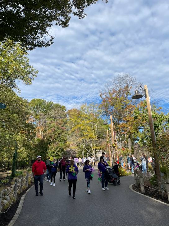 The 2025 Walk to End Alzheimer's brought 449,000 participants and 408 teams to the Cleveland Metroparks Zoo on Oct. 18.