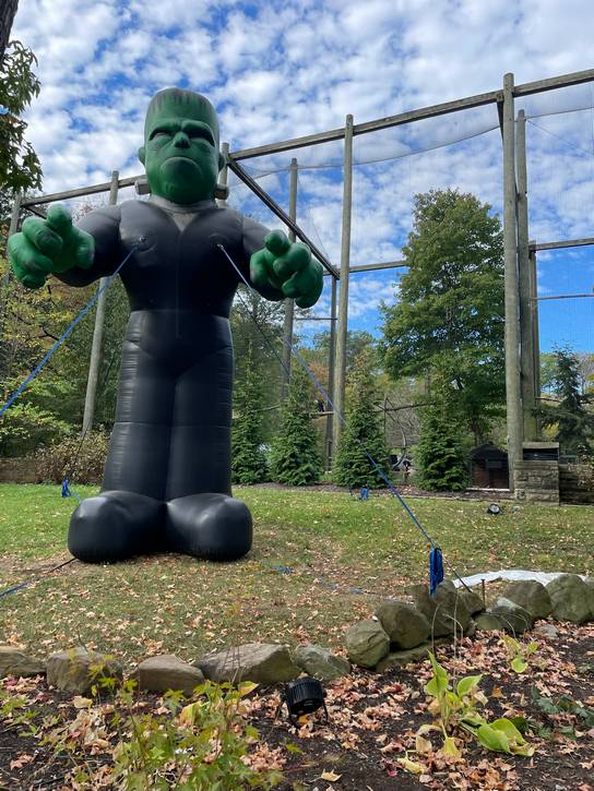 Frankenstein oversees the walkers as part of Boo at the Zoo at the Cleveland Metroparks Zoo.