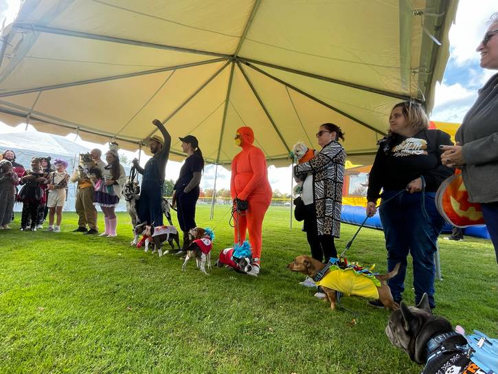 Guests and dogs await the announcement of the pet costume contest winner.