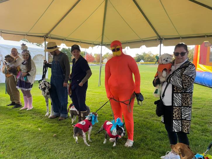 Dogs and their owners line up for the pet costume contest.